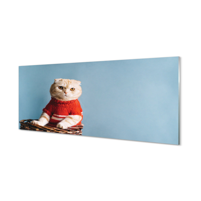 Konyhai üveg panel ül macska