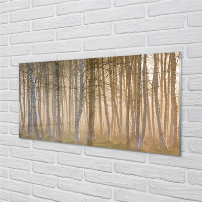 Konyhai üveg panel Sunrise fa erdő