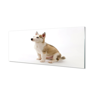 Konyhai üveg panel Ülő kis kutya