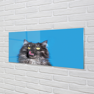 Konyhai üveg panel Oblizujący egy macska
