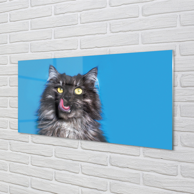 Konyhai üveg panel Oblizujący egy macska