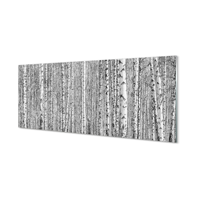 Konyhai üveg panel Fekete-fehér fa erdő