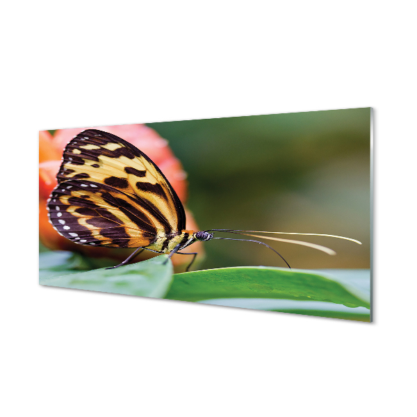 Konyhai üveg panel pillangó