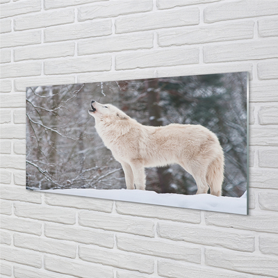 Konyhai üveg panel Wolf téli erdőben