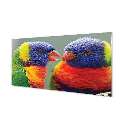 Konyhai üveg panel színes papagáj