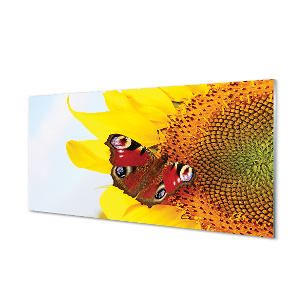 Konyhai üveg panel napraforgó pillangó