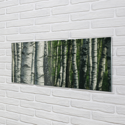 Konyhai üveg panel nyírfa erdő