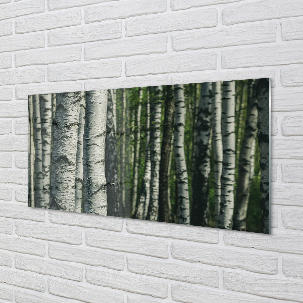 Konyhai üveg panel nyírfa erdő