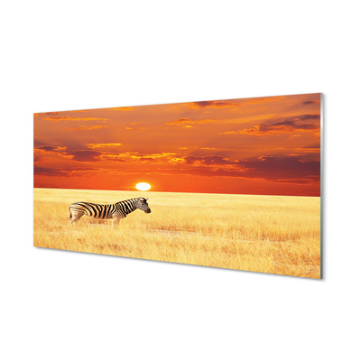 Konyhai üveg panel Zebra mező naplemente