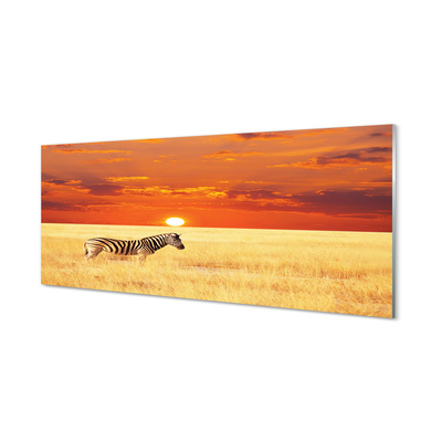 Konyhai üveg panel Zebra mező naplemente