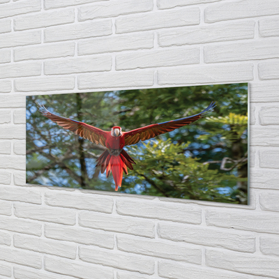 Konyhai üveg panel Ara papagáj