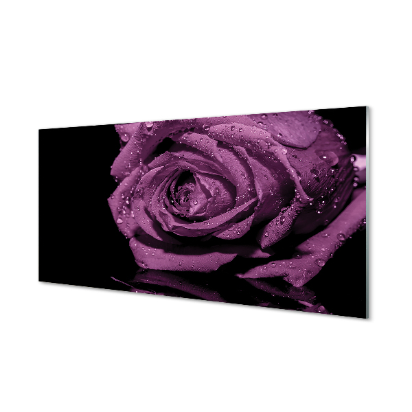 Konyhai üveg panel lila rózsa