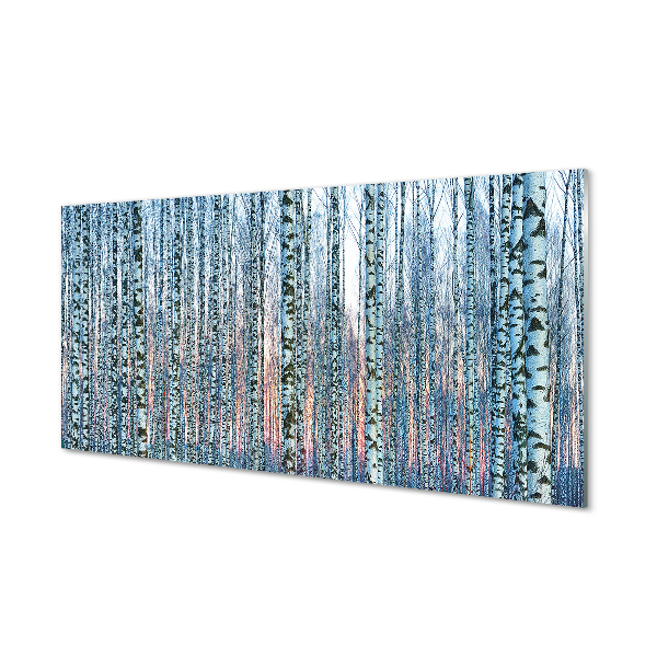Konyhai üveg panel Nyírfa erdő naplemente