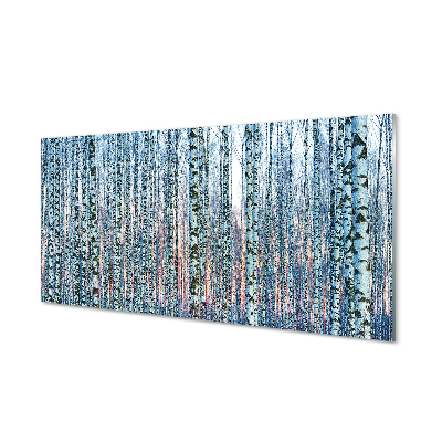 Konyhai üveg panel Nyírfa erdő naplemente