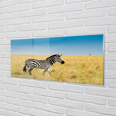 Konyhai üveg panel Zebra box