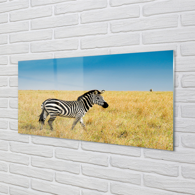 Konyhai üveg panel Zebra box