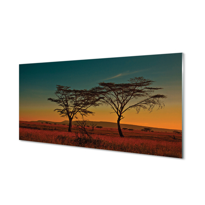 Konyhai üveg panel égbolt fák