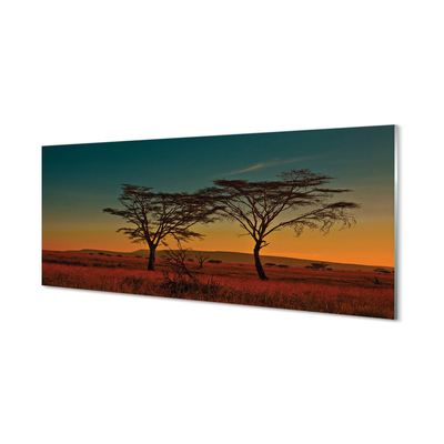 Konyhai üveg panel égbolt fák