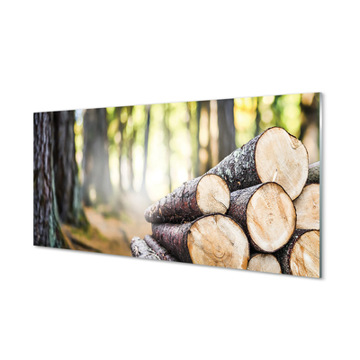 Konyhai üveg panel Wood erdő természetvédelmi