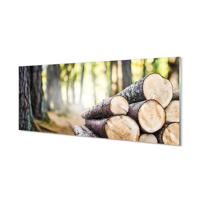 Konyhai üveg panel Wood erdő természetvédelmi