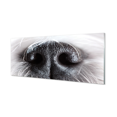 Konyhai üveg panel kutya orrát