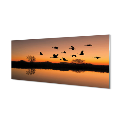 Konyhai üveg panel Repülő madarak naplemente
