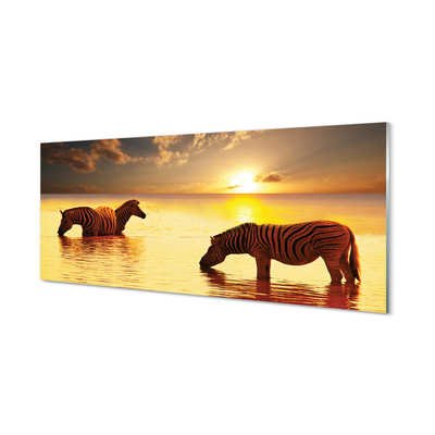 Konyhai üveg panel Zebrák víz naplemente