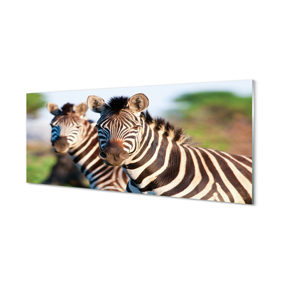 Konyhai üveg panel zebra