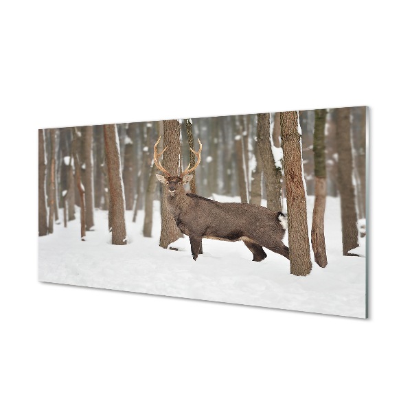 Konyhai üveg panel Deer téli erdőben