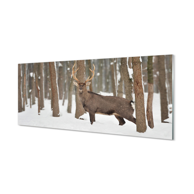 Konyhai üveg panel Deer téli erdőben