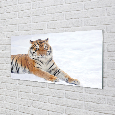 Konyhai üveg panel Tiger tél