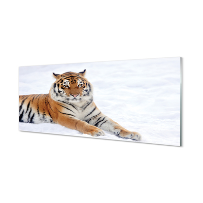 Konyhai üveg panel Tiger tél