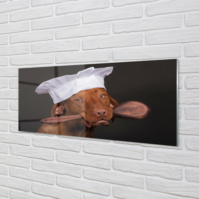 Konyhai üveg panel kutya szakács