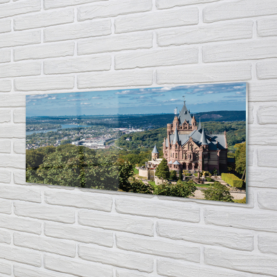 Konyhai üveg panel Németország Panoráma a város vár