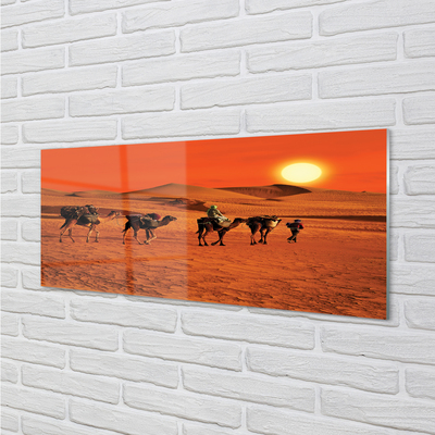 Konyhai üveg panel Tevék az emberek sivatagi nap ég