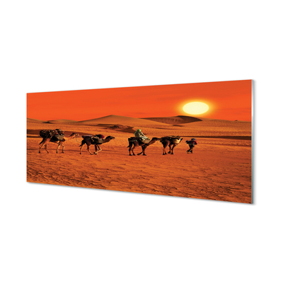 Konyhai üveg panel Tevék az emberek sivatagi nap ég