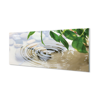 Konyhai üveg panel Water drop splash