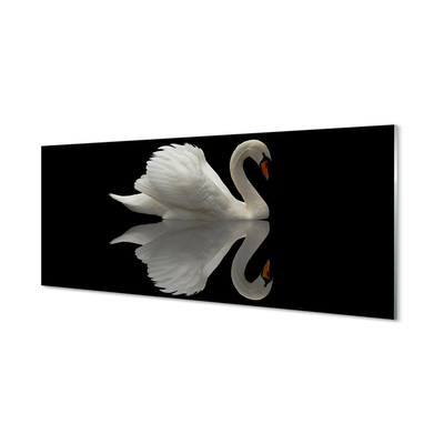 Konyhai üveg panel Swan az éjszaka