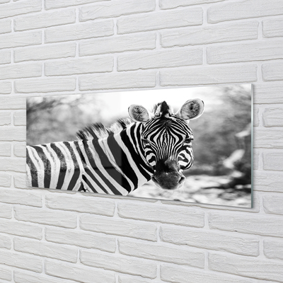 Konyhai üveg panel retro zebra