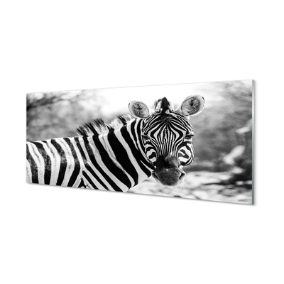 Konyhai üveg panel retro zebra