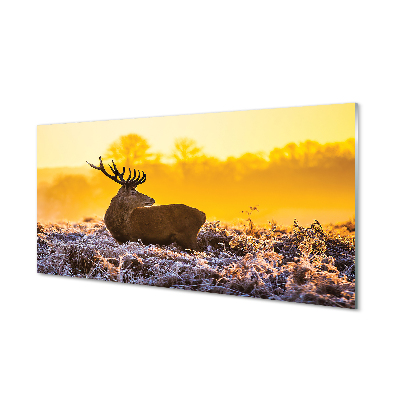 Konyhai üveg panel Deer téli napkelte