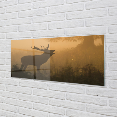 Konyhai üveg panel Deer napkelte