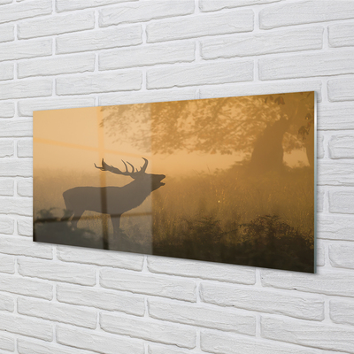 Konyhai üveg panel Deer napkelte