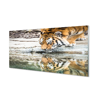 Konyhai üveg panel tigris Drink