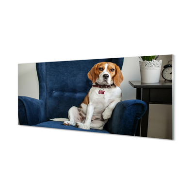 Konyhai üveg panel ül kutya