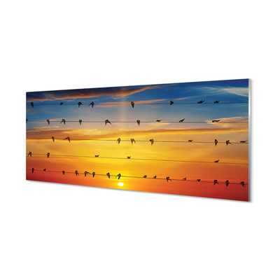 Konyhai üveg panel Madarak a kötelek naplemente