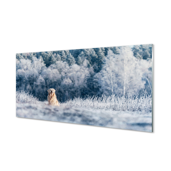 Konyhai üveg panel Winter mountain dog