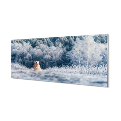 Konyhai üveg panel Winter mountain dog
