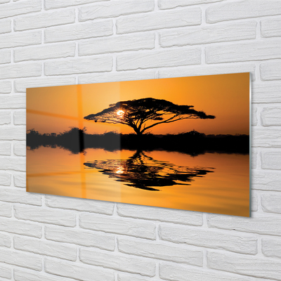 Konyhai üveg panel Sunset fa