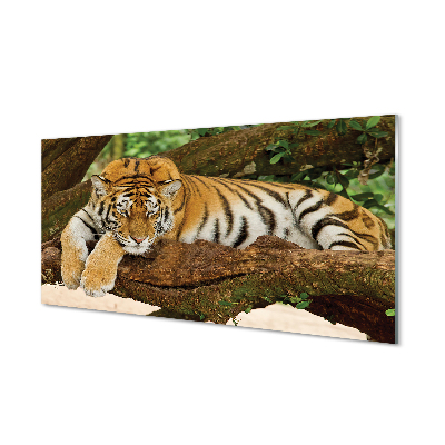 Konyhai üveg panel tigris fa